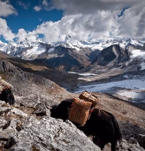 Dagala Thousand Lake Trek