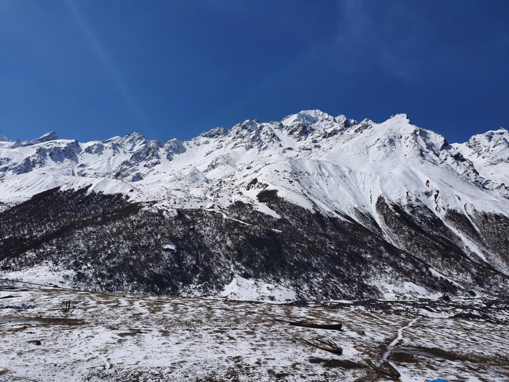 snow covered mountains