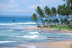 3 Nights Bentota Sri Lanka Tour